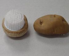 薯仔、蘑菇刷之二